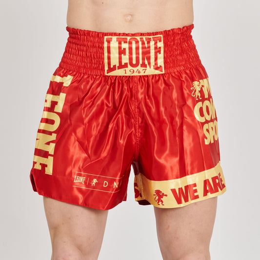 Pantalon kick&thai DNA AB966
