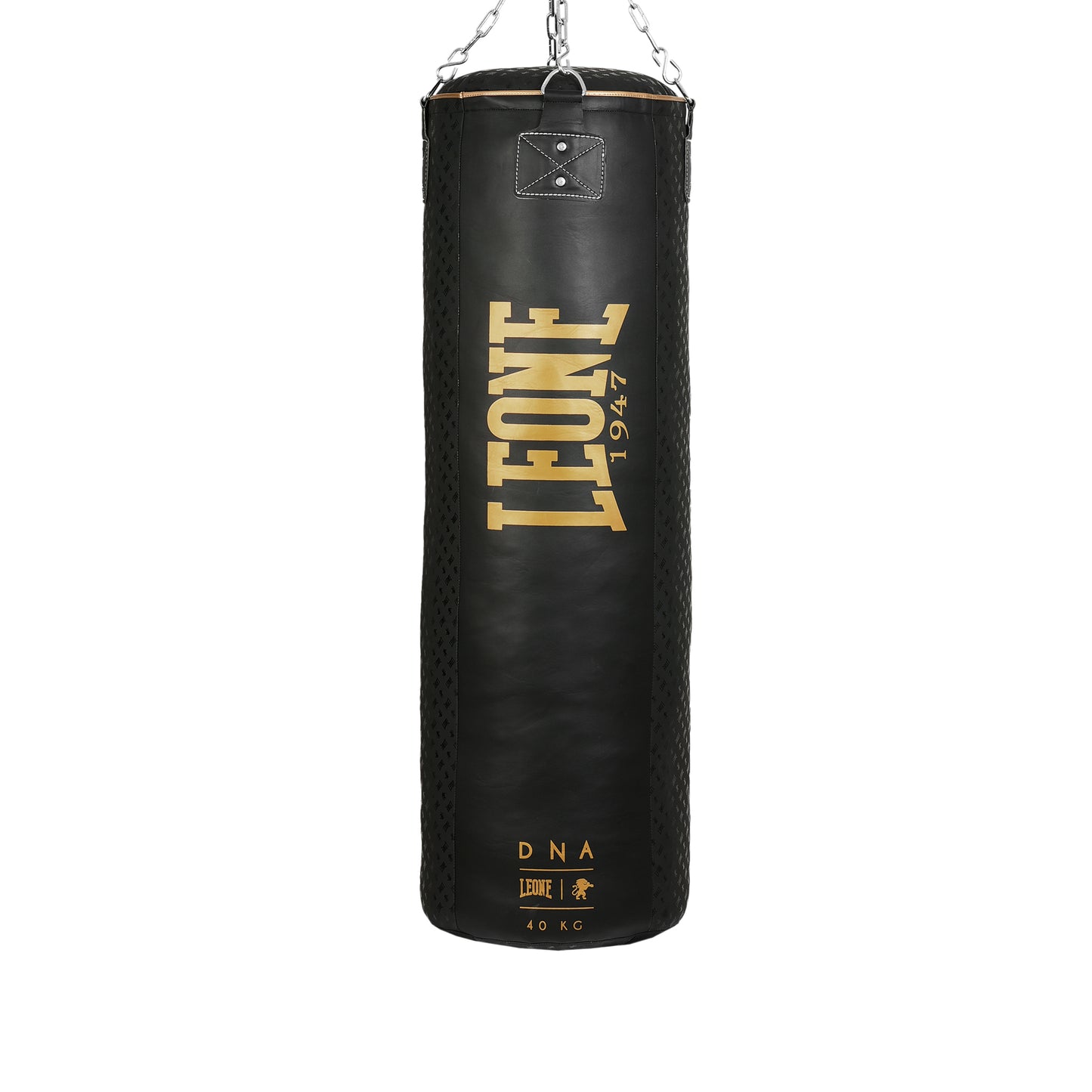 Saco boxeo DNA AT854