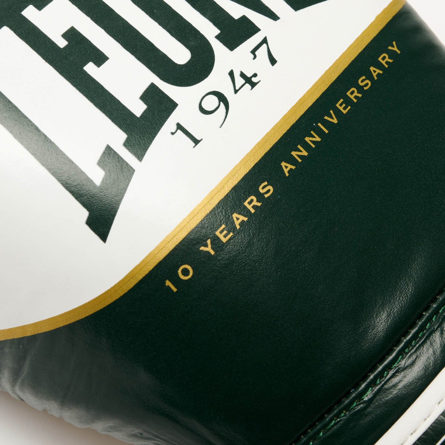Guantes de Boxeo SHOCK X GN047X
