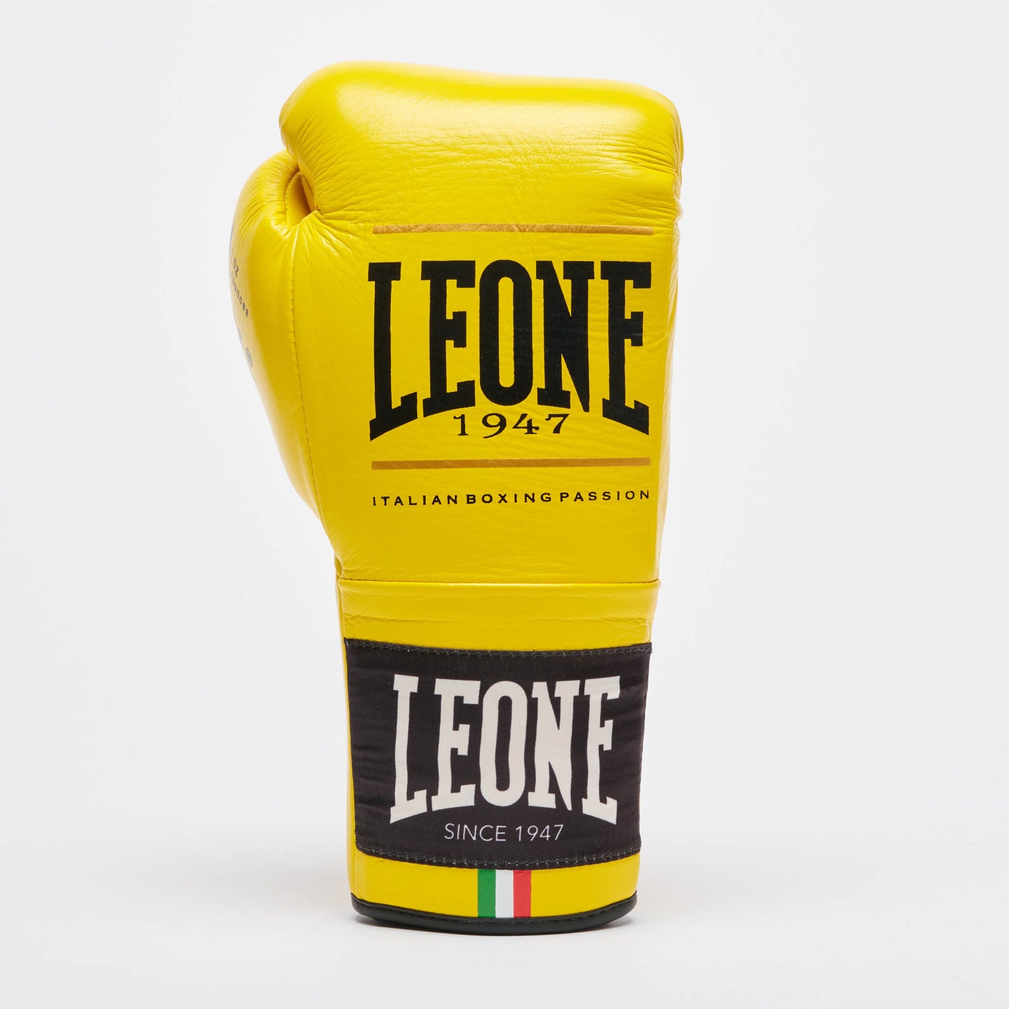 Guantes de Boxeo SHOCK PLUS GN102L
