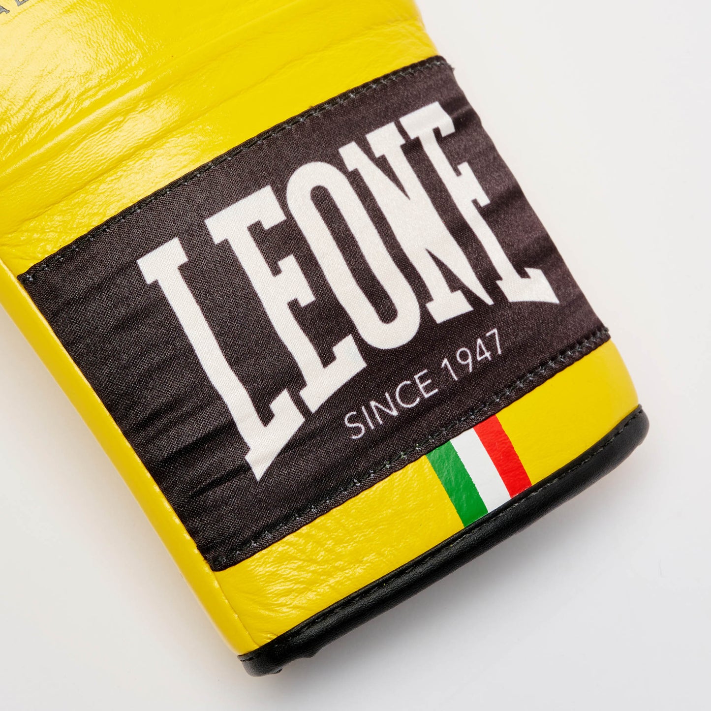 Guantes de Boxeo SHOCK PLUS GN102L
