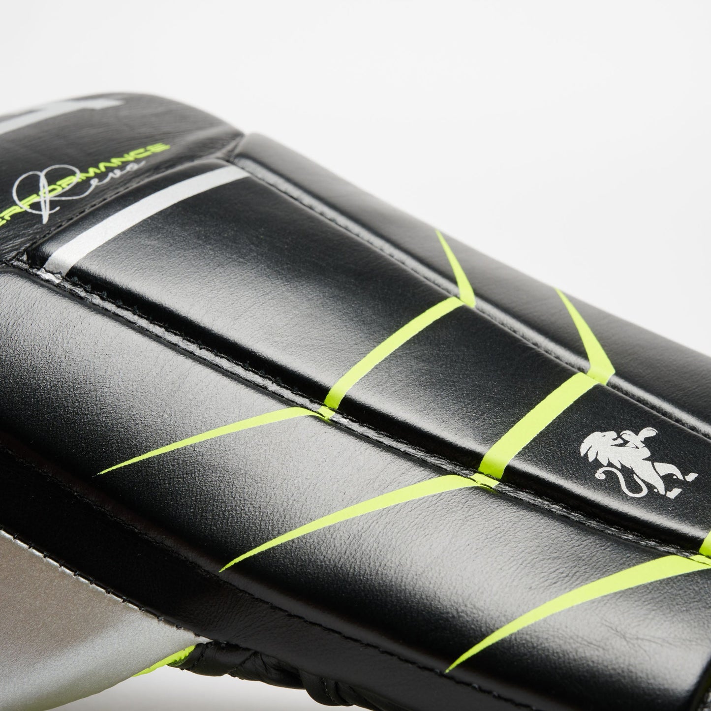 Guantes de Boxeo REVO FLUO GN110F