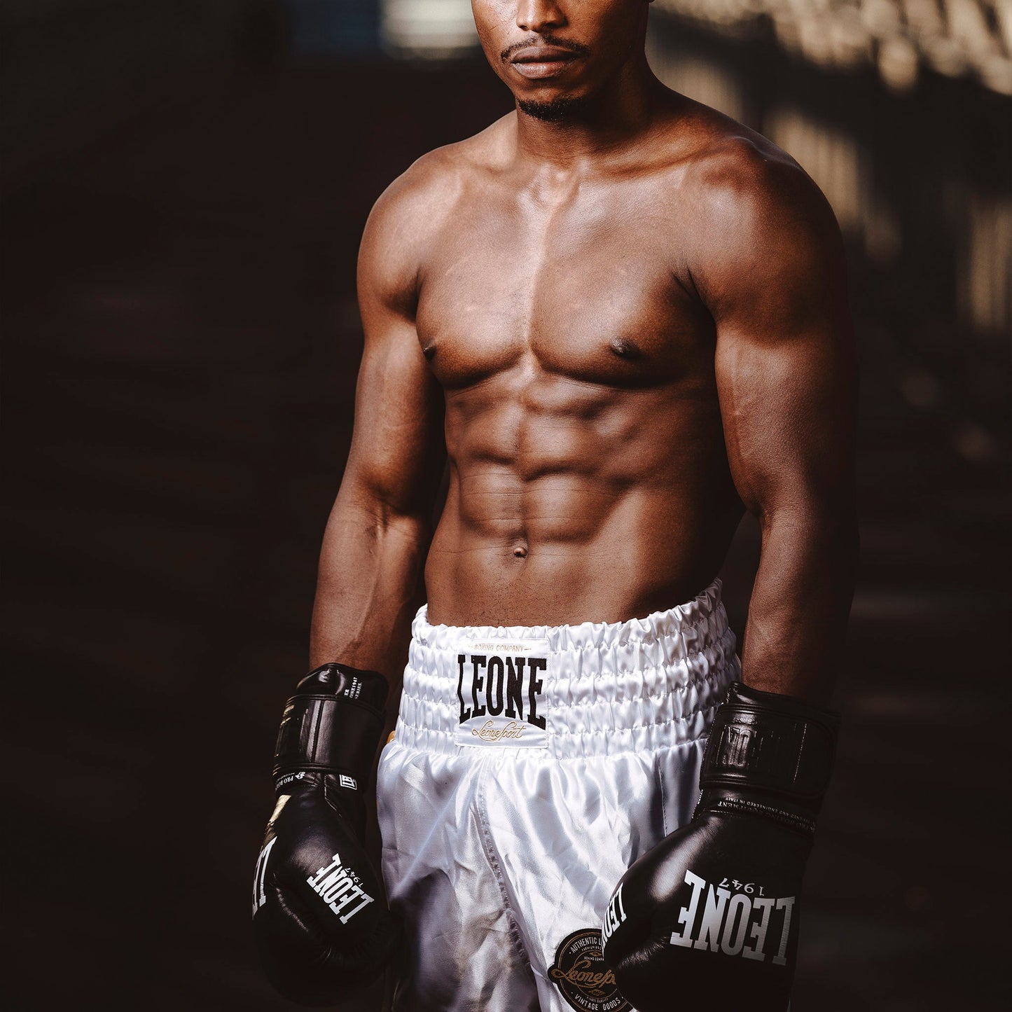 Guantes de Boxeo THE GREATEST GN111