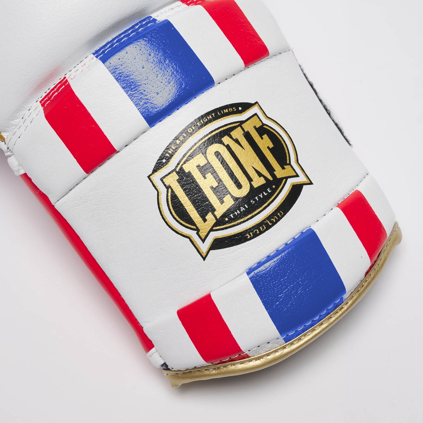Guantes de Boxeo THAI STYLE GN114