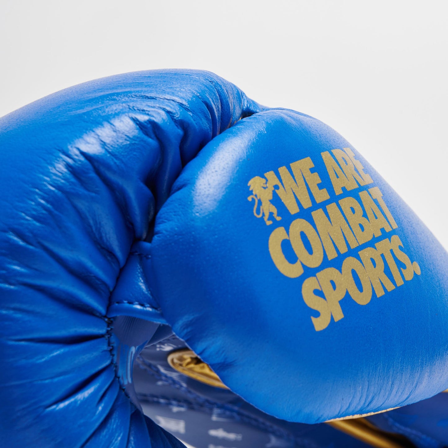 Guantes de Boxeo DNA GN220