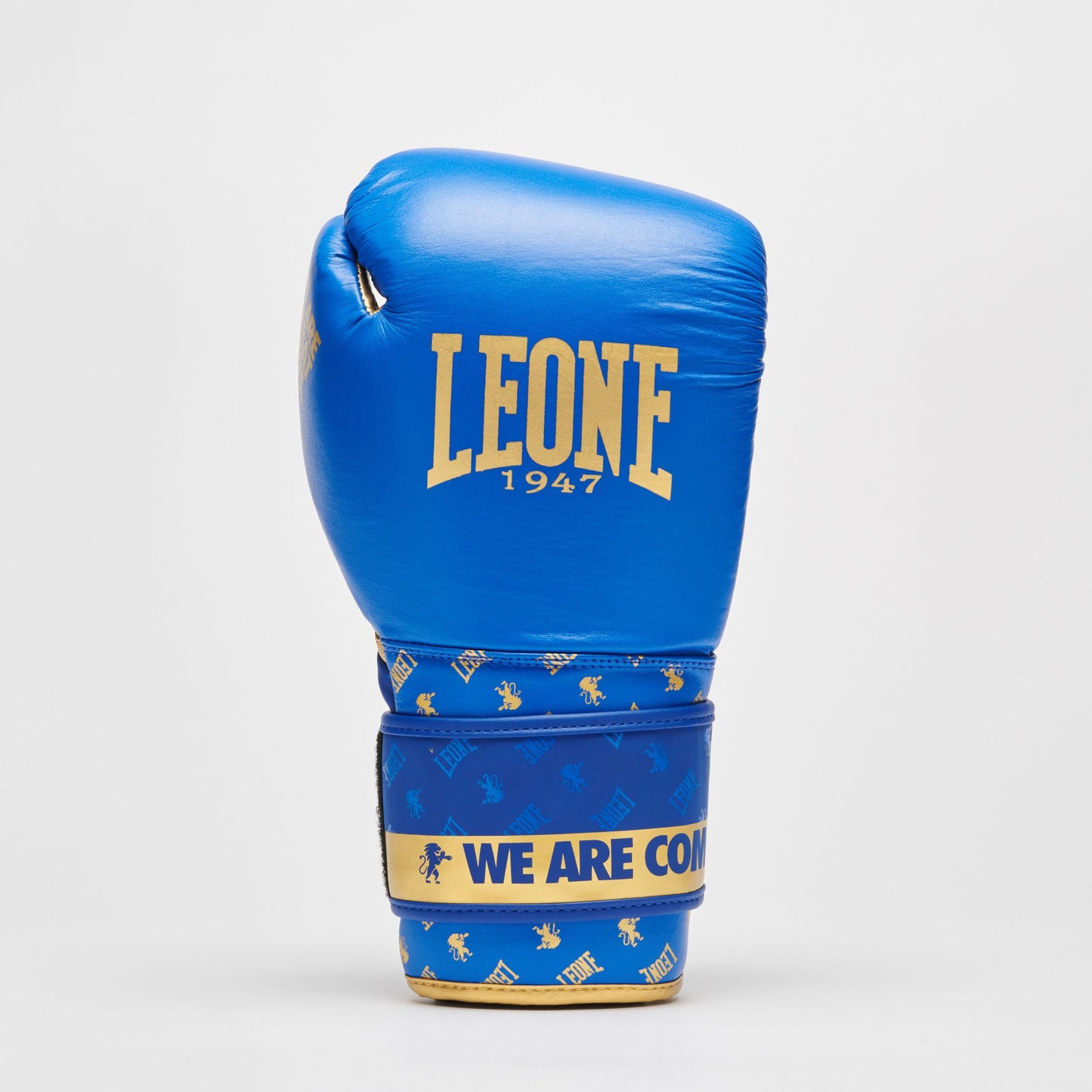 Guantes de Boxeo DNA GN220