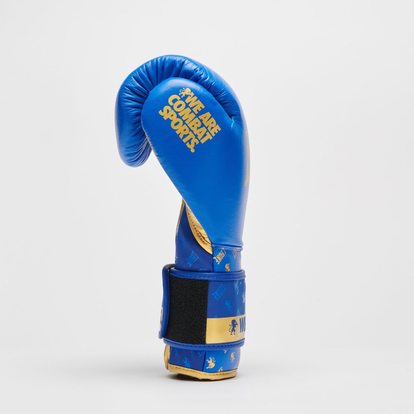 Guantes de Boxeo DNA GN220