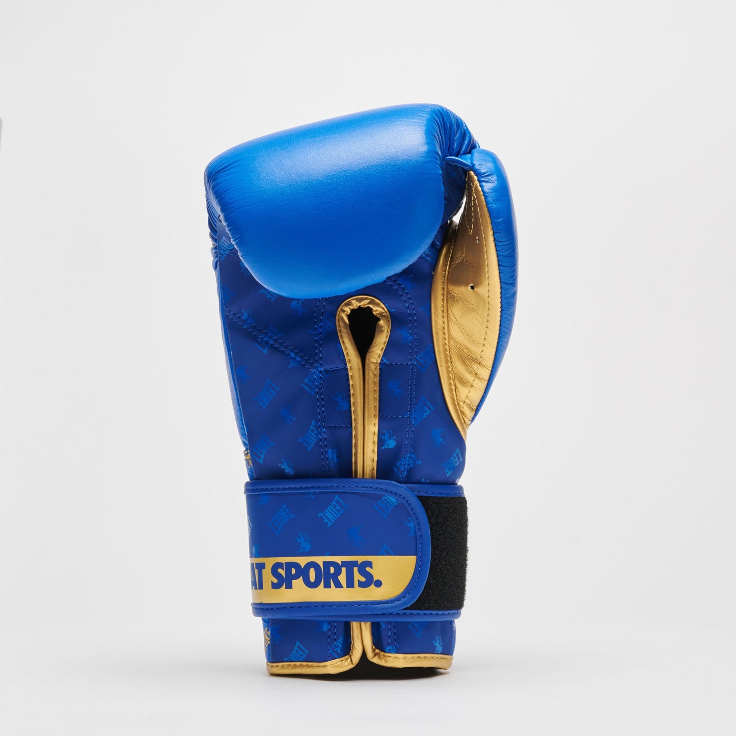 Guantes de Boxeo DNA GN220