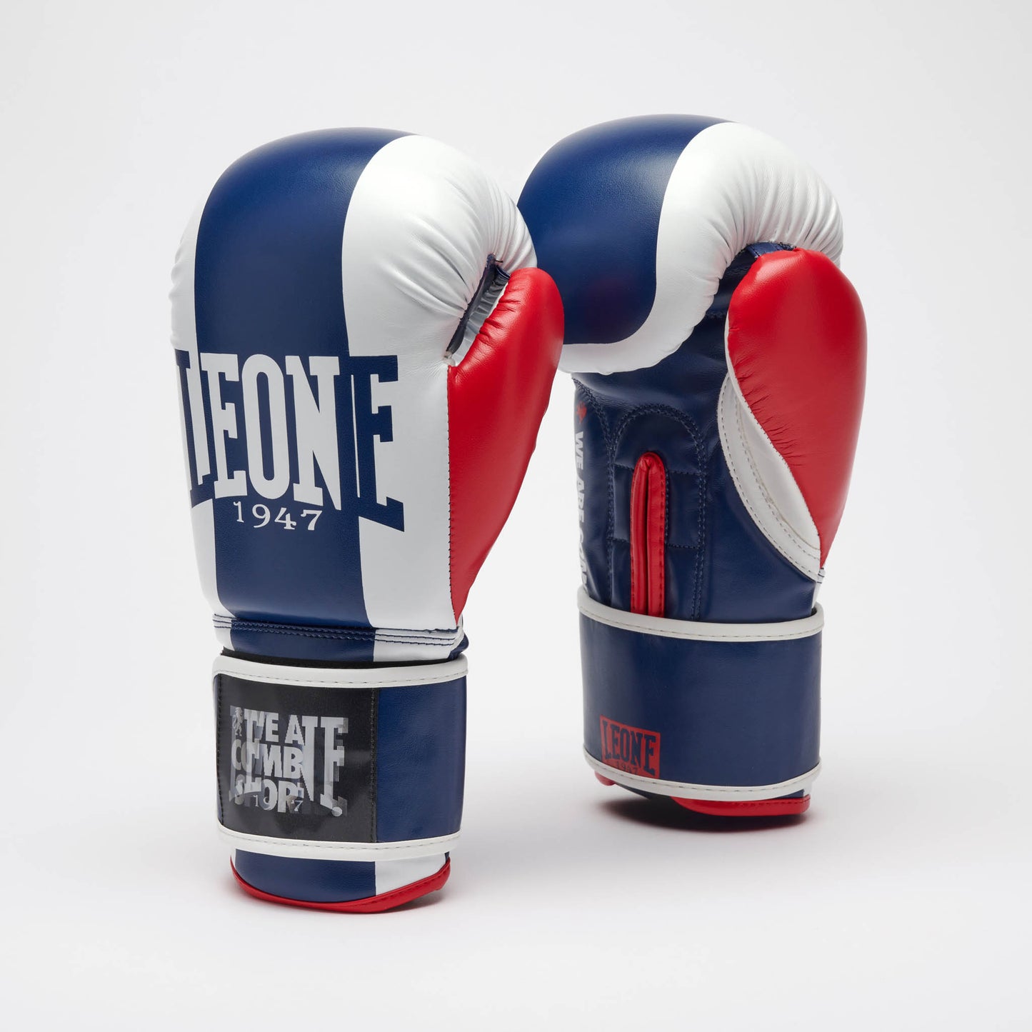 Guantes de Boxeo COLOR BLOCK GN334