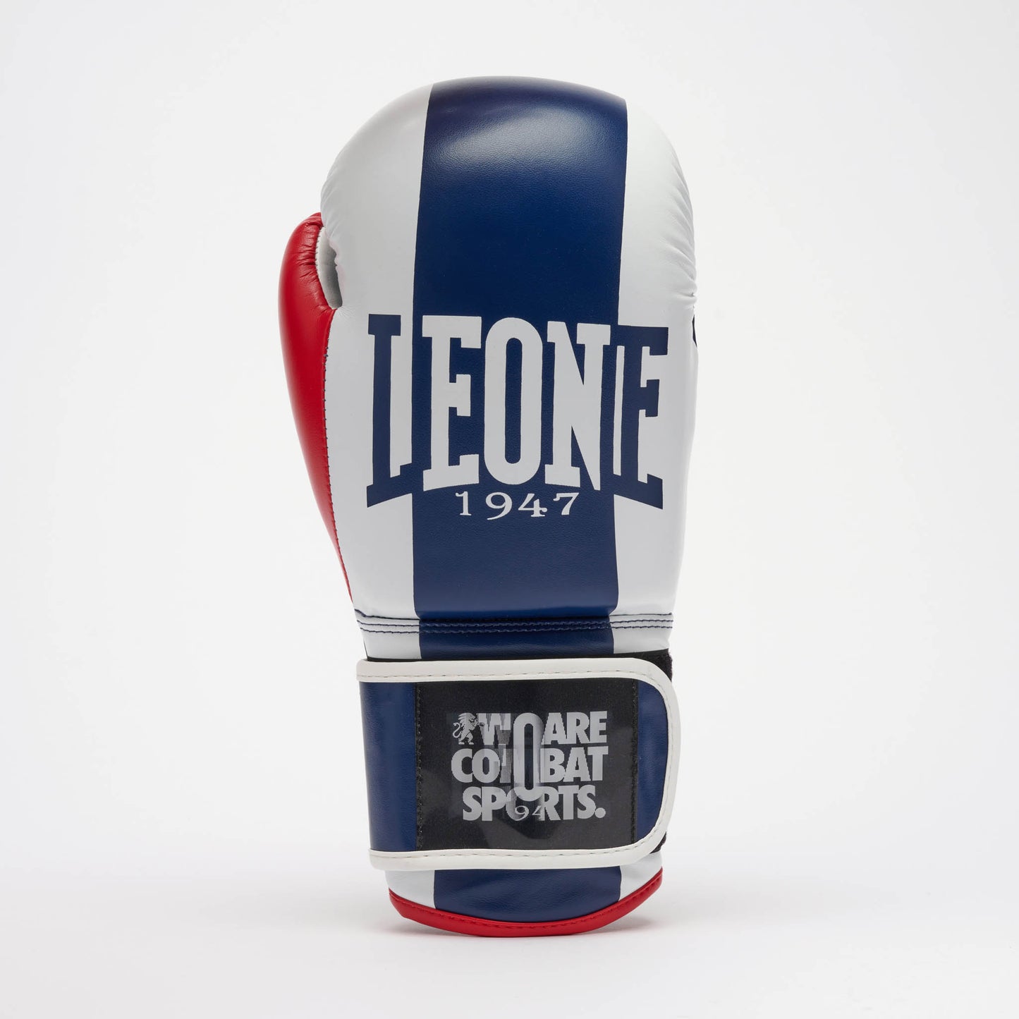 Guantes de Boxeo COLOR BLOCK GN334