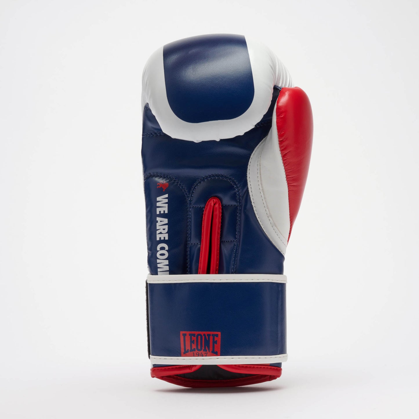 Guantes de Boxeo COLOR BLOCK GN334